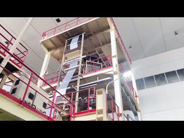 Food Grade Thermoforming Food Packaging Film Film Base Polyester